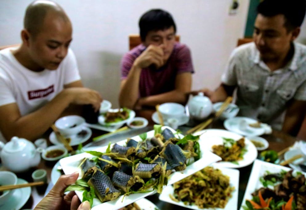 Des plats à base de serpent dans un restaurant de Yen Bai, au Vietnam, le 24 août 2018