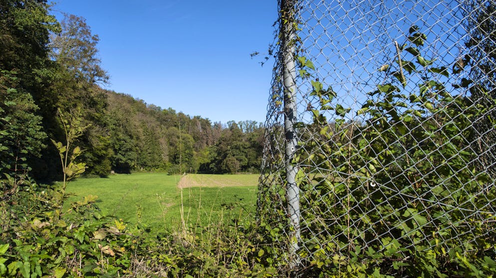 Unscheinbar: Blick auf das Feld der geplanten Tiefbohrungen der Nagra, aufgenommen am Mittwoch, 26. September 2018 in Bülach ZH.