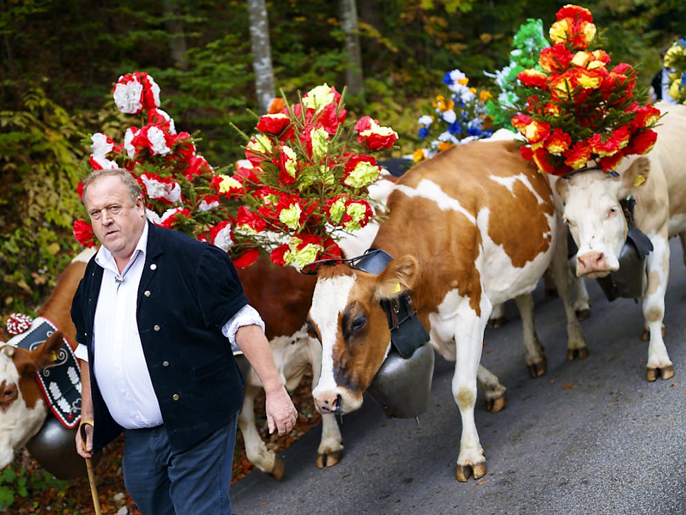 "Tout s'est bien passé. Les vaches étaient calmes", a déclaré François Briggen, paysan et fromager.