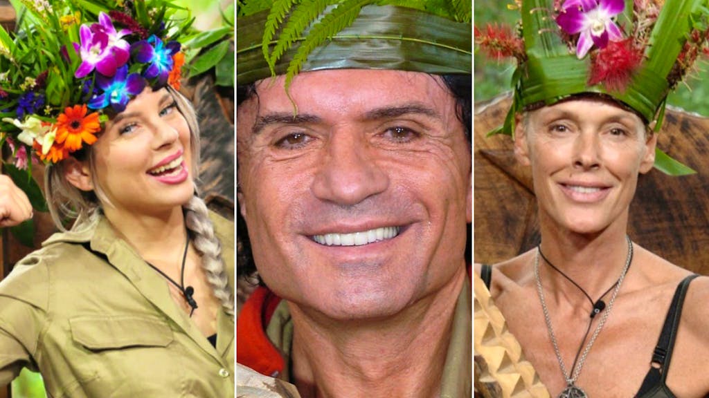 Karriere-Check. Dschungelkönig – und dann? Das wurde aus den bisherigen Siegern