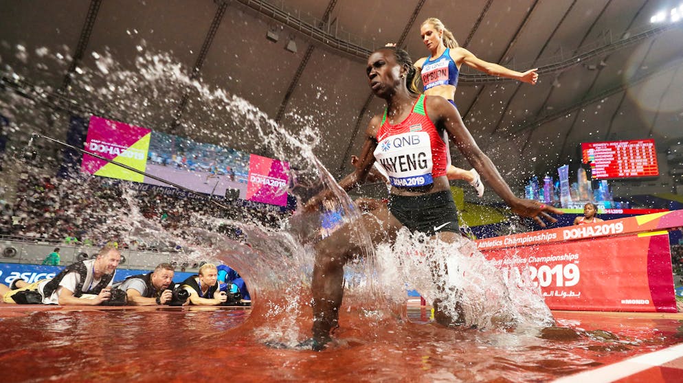 Die besten Bilder der Leichtathletik-WM 2019. Und das kommt dann dabei heraus, Schnappschüsse aus nächster Distanz.