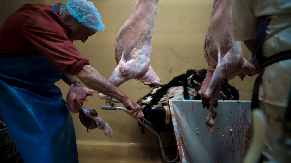Metzgerhof Ziegenalp: Ziegen werden von einem sechsköpfigen Metzger-Team gehäutet, bevor sie im März 2016 durch einen Tierarzt untersucht und im Anschluss ausgeliefert werden.