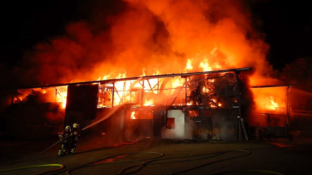 Die Feuerwehr stand wegen des Stallbrandes ausserhalb von Frauenfeld im Grosseinsatz.