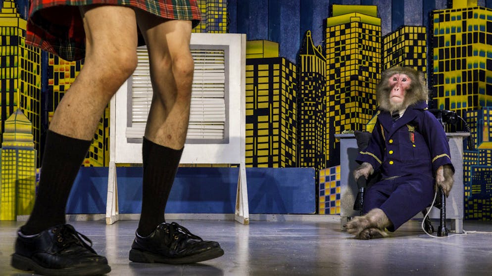 Die besten Tierfotos des Jahres. «Show Time» von Jasper Doest, Niederlande, Gewinner Kategorie «Wildlife Photojournalist Story Award»: Der Affe Riku trat 17 Jahre lang dreimal täglich in einem Comedy-Theater in Tokio auf. 2018 wurde das Tier endlich aus der Show genommen.