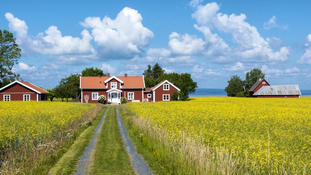 Ganz schön stylisch. Ikea und Köttbullar – eine Reise durchs schwedische Designland