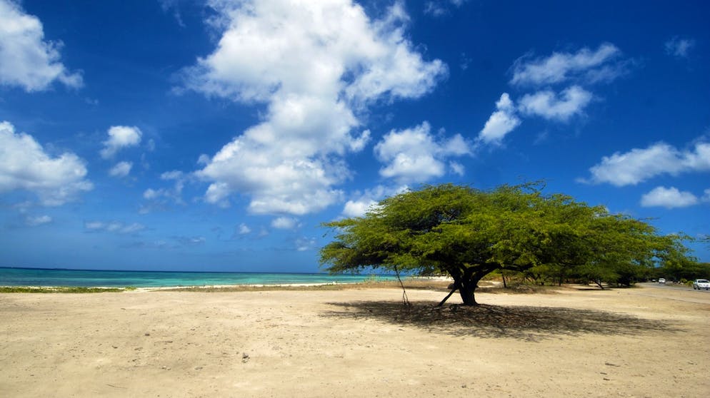 Das sind die Top-Reiseländer 2020. Auf dem vierten Platz findet sich das Karibikparadies Aruba. Dort finden nicht nur das ganze Jahr über Karnevalsveranstaltungen statt. Auch hier weiss der «Lonely Planet» das ökologische Bewusstsein zu schätzen: Der Inselstaat will 2020 ohne Einwegplastik nachhaltiger werden.