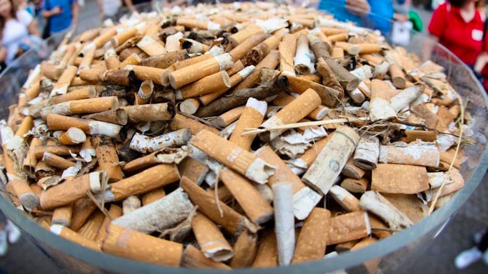 Zehn Milliarden Zigarettenstummel landen täglich irgendwo in der Landschaft. Jetzt sollen Filterzigraretten verboten werden, fordern einige Forscher. (Symbolbild)