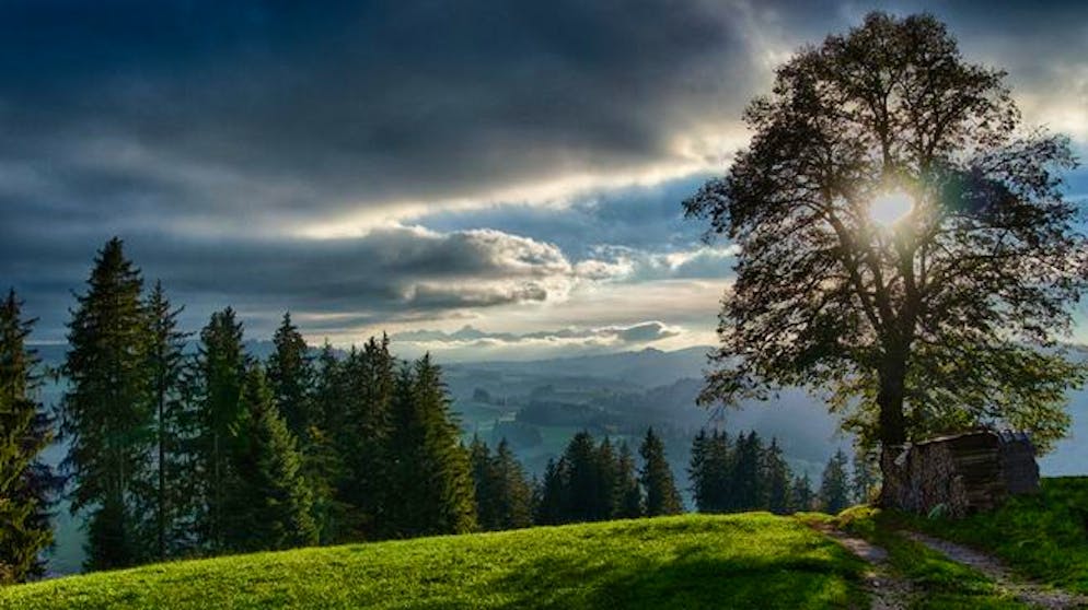 Achtung, hier spukts! Gruselige Orte in der Schweiz. Auf dem Emmentaler Mords- und Spukweg werden den Spaziergängern unheimliche Geschichte erzählt.