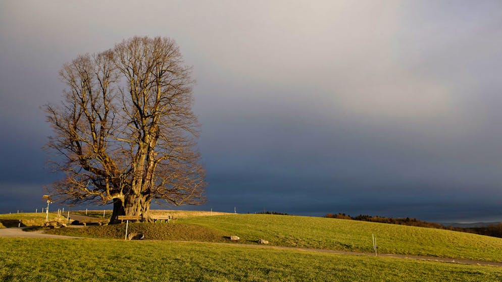 Achtung, hier spukts! Gruselige Orte in der Schweiz. Die Legende besagt, dass sich unter Sommerlinde in Linn ein Massengrab befindet. Um 1350 tobte eine Pestepidemien in Europa und raffte unter anderem fast alle Bewohner von Linn dahin.