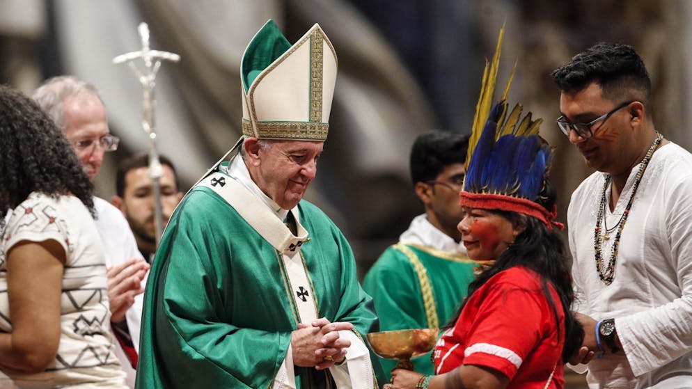 Papst Franziskus hat die Amazonas-Synode mit einer Messe eröffnet.