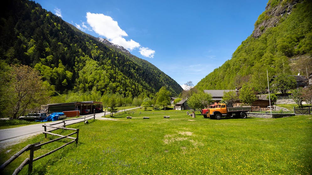 Mattia Testa: «Es ist wie ein Sechser im Lotto». Dank der Maschine kann Mattia nun in einem Tag so viel Holz verarbeiten wie früher in einem Monat.