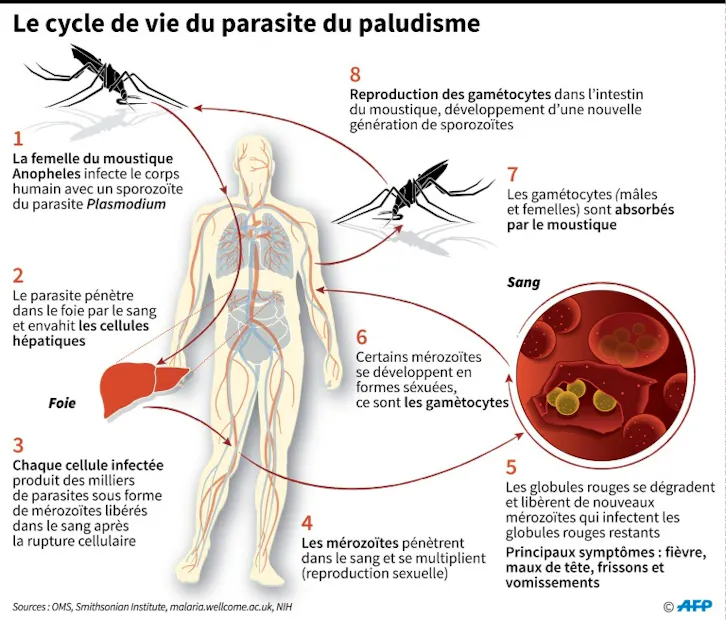 Sciences Technique Objectif 14 Milliards Lyon Pour liminer Sida sciences-technique-objectif-14-milliards-lyon-pour-liminer-sida