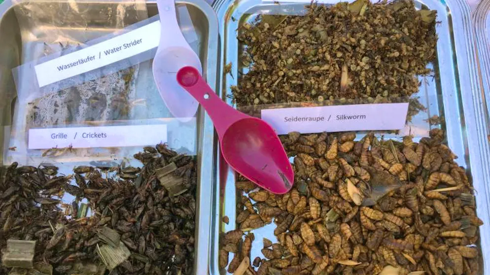 Im Preussenpark in Berlin-Wilmersdorf bieten an Wochenenden zahlreiche Händler asiatische Snacks an. Neben Papaya-Salat und Frühlingsrollen findet man hier auch Insekten. 