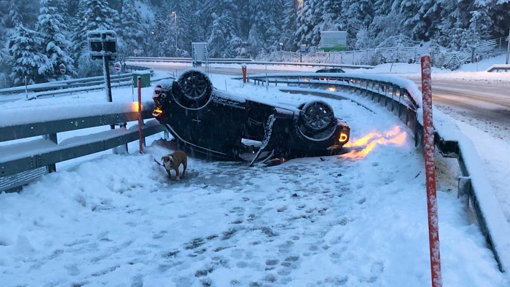 Conducente e cane indenni dopo essere sbandati sull'A13 innevata.
