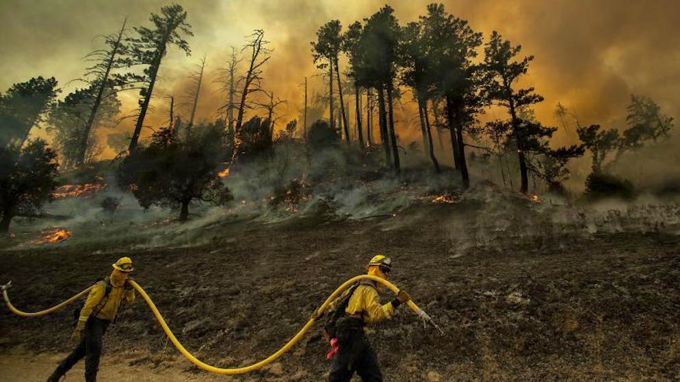 Feuerwehrleute bei der Bekämpfung des «Kincade-Feuers» in der Nähe von Geyservillle in Kalifornien.