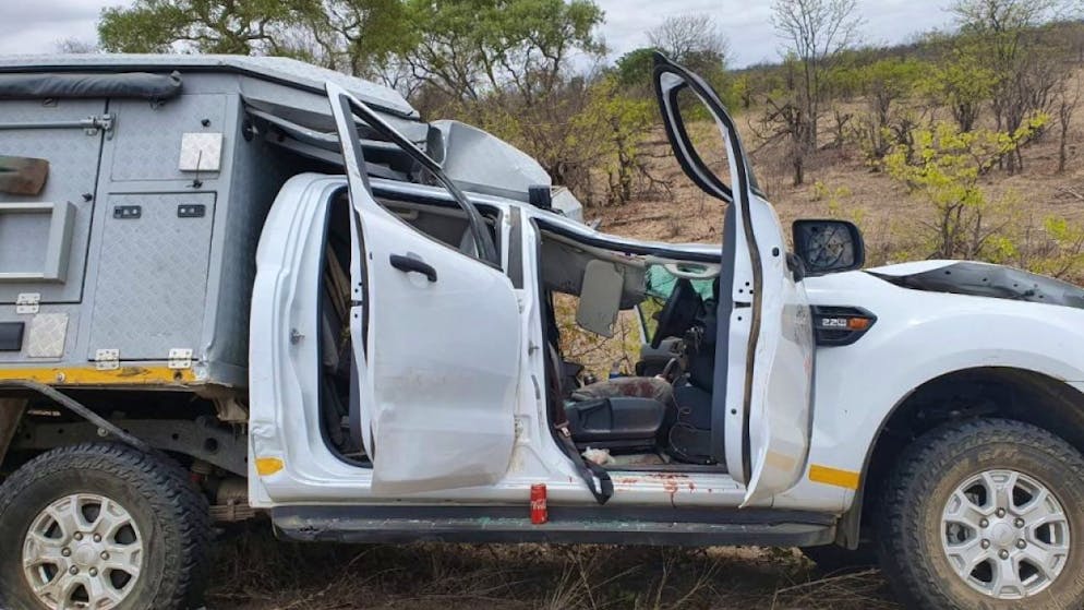 Die Giraffe krachte auf den Safari-Mietwagen, hinter dessen Steuer ein Schweizer Fahrer sass.