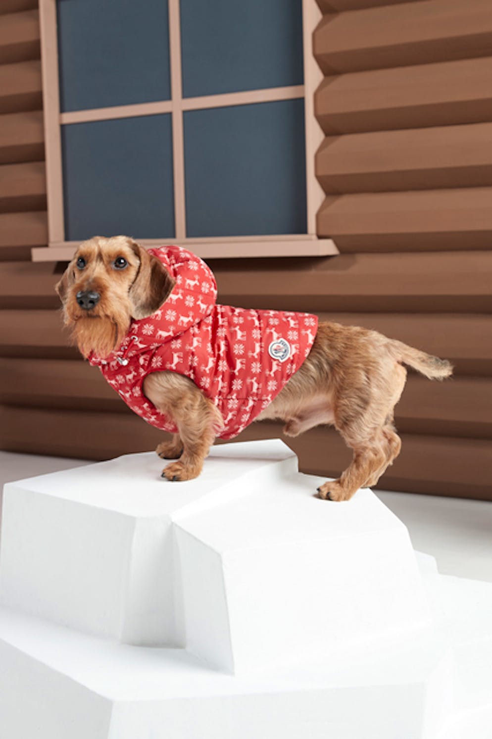 Novità di stagione per Fido da Moncler & Poldo Dog Couture