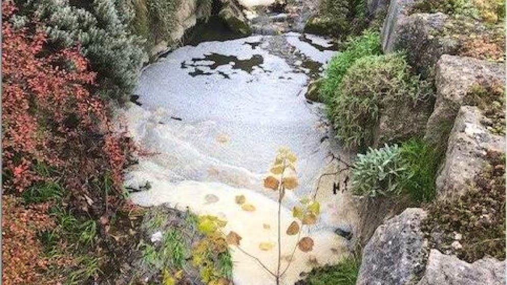 Der durch Gülle verunreinigte Wahlenbach zwischen Grindel SO und Laufen BL.