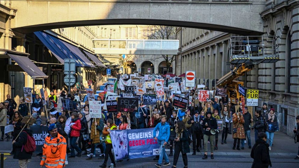 Am Samstag haben in Zürich über 500 Menschen an der Demo für eine pelzfreie Schweiz teilgenommen.