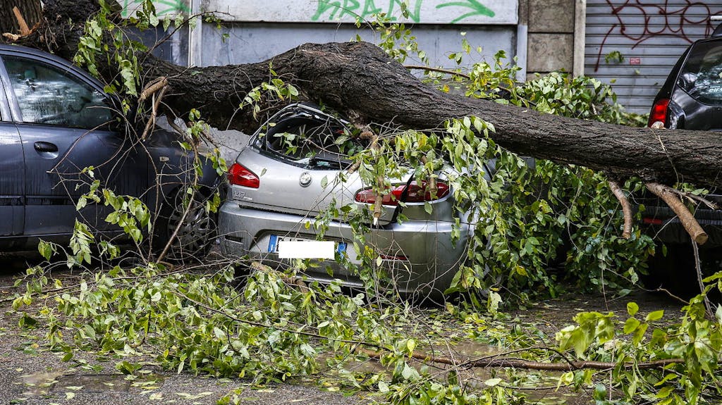 Was vom Sturm übrig blieb – schneidet die Feuer in Italien frei. Ein Unwetter hat in Rom für schwere Verwüstungen gesorgt.