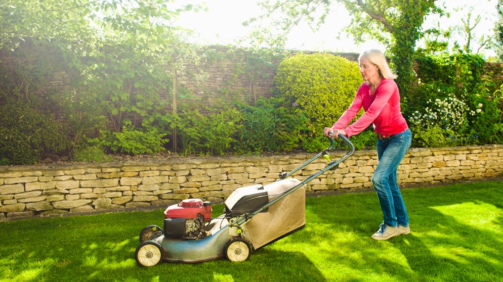 Ein schöner grüner Rasen ist nicht das Beste für die Natur. Wer ihr 2020 etwas Gutes tun will, könnte zum Beispiel mehr Beete anlegen.