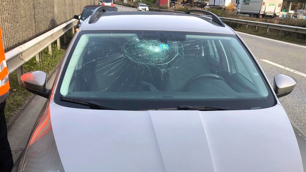 Die Lenkerin und die Beifahrerin kamen mit dem Schrecken davon, als der Ast gegen die Windschutzscheibe prallte.