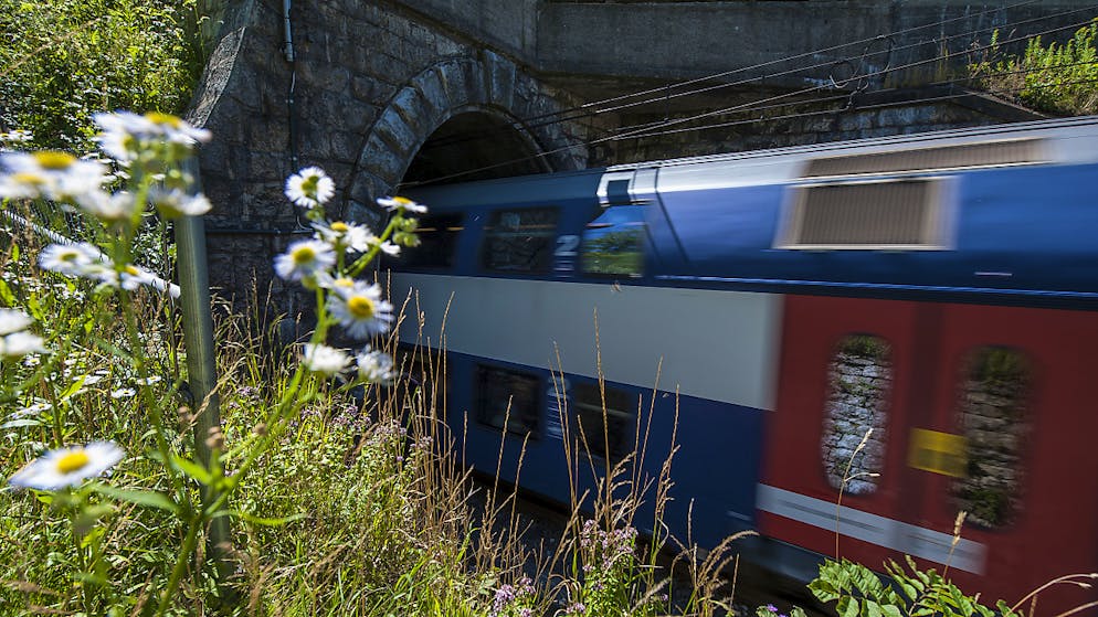 Der doppelspurige Sanierungstunnel zwischen Sihlbrugg und Horgen-Oberdorf ist vom Tisch, das Parlament schrieb die entsprechende Motion als erledigt ab. (Archivbild)