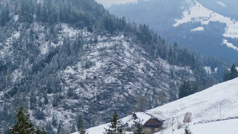 Schäden, die der Föhnsturm in Marbach angerichtet hat.