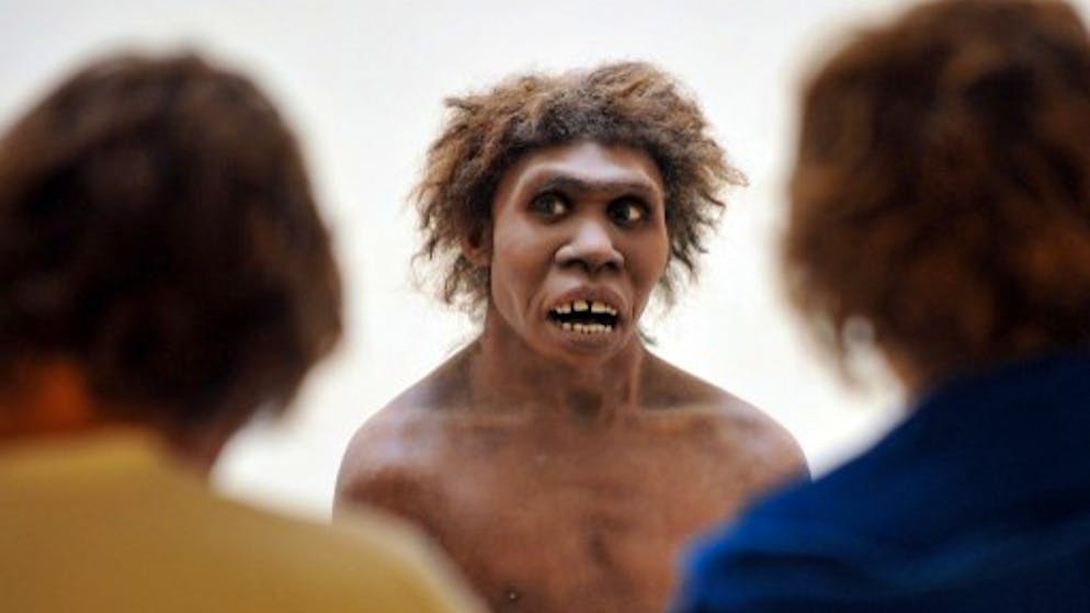Sind die Menschen schuld am Aussterben der Neandertaler? Oder wären sie auch ohne den Einfluss des Homo sapiens ausgelöscht worden?