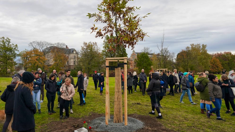 In Zwickau wurden zehn neue Bäume für die Opfer der NSU-Morde gepflant.