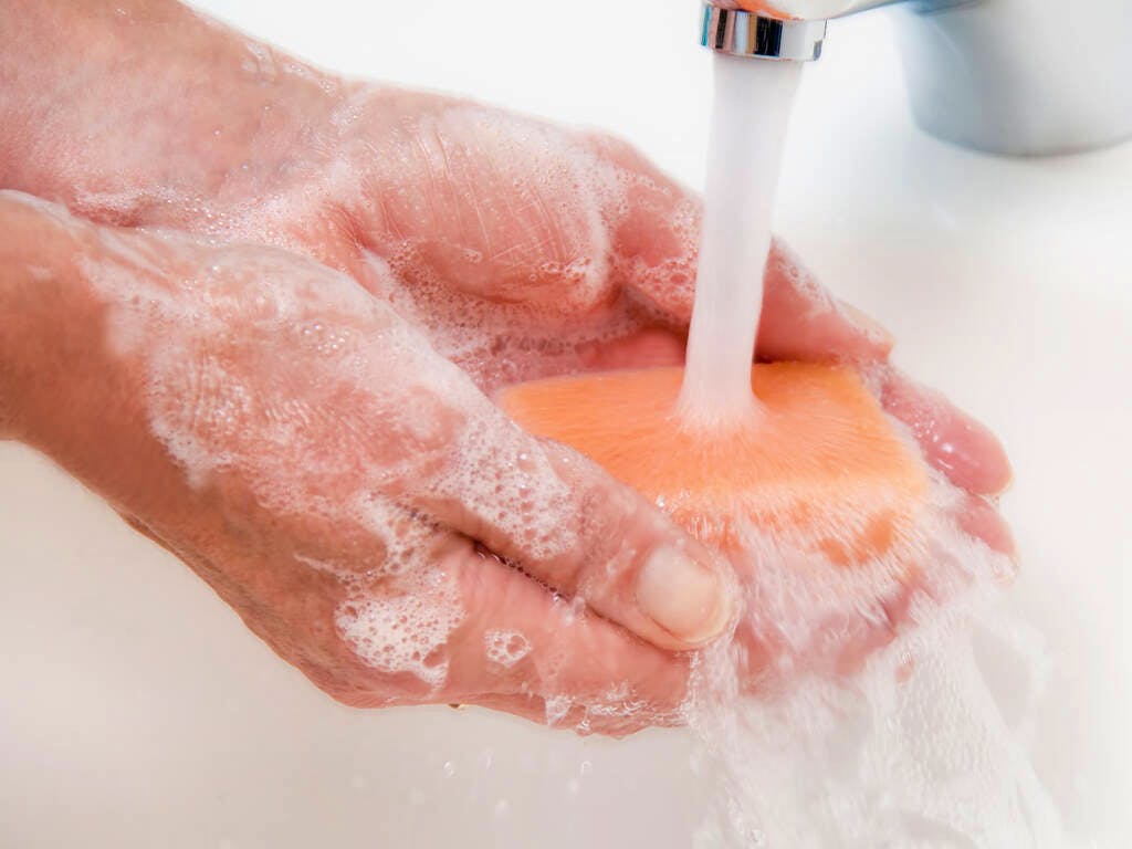 E.coli si diffonde con una scarsa igiene personale più che con il cibo