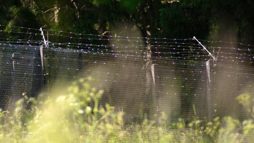 Ein Teil der ehemaligen innerdeutschen Grenze im Freiland Grenzmuseum.