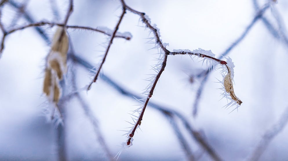 Der Donnerstag beginnt für viele Schweizer mit frostigen Temperaturen. (Symbolbild)