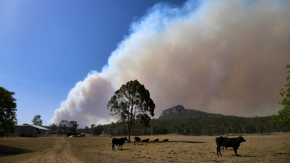 Les différents incendies s'étendent sur une bande d'environ un millier de kilomètres le long du littoral pacifique et les pompiers sont à la peine, en dépit de l'appui aérien de 70 appareils.