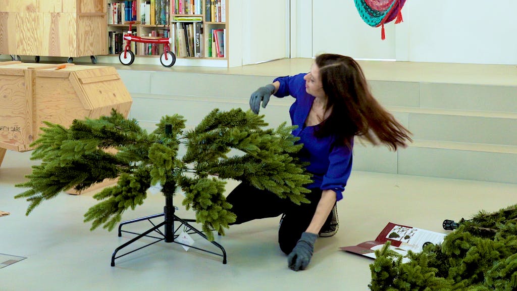 Nachhaltigste Weihnachtsbäume. Naturbaum, aus Plastik oder im Topf?