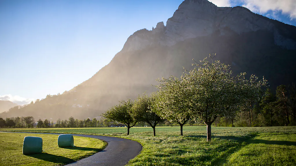 Météo. Sous l'effet du föhn, 16 degrés