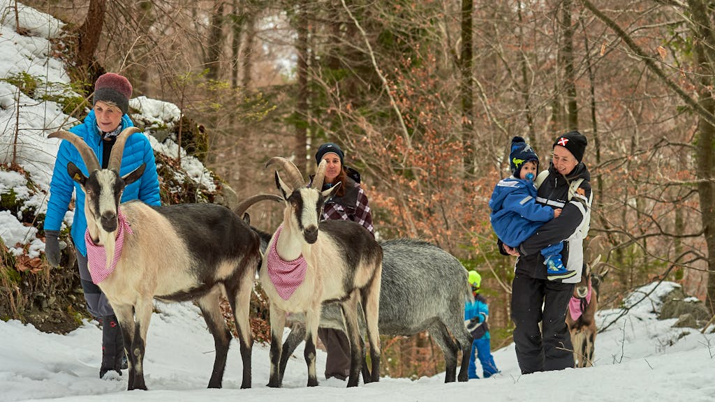 Trekking. «Von meinen Geissenbuebe kann ich viel lernen»