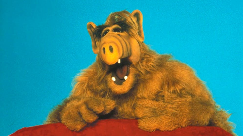 Che fine hanno fatto le star delle sit-com cult degli anni Ottanta?. Nel 2016, i fan erano in lutto: Michu Meszaros, l'attore di bassa statura che per quattro anni si è travestito con una pelliccia marrone e ha incarnato Alf, è morto all'età di 76 anni. Tuttavia, il ruolo dell'extraterrestre è stato assicurato anche da una marionetta, manipolata da Paul Fusco, il creatore della serie che doppiava anche il personaggio.