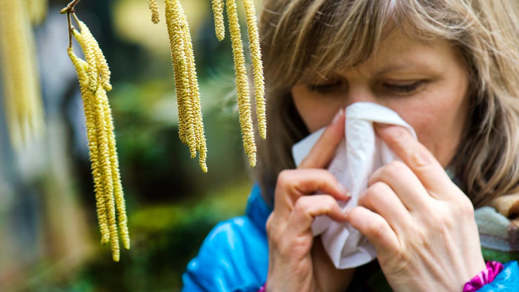 Gefährliche Reaktionen. Allergologe: «Heuschnupfen kann auch im Winter auftreten»
