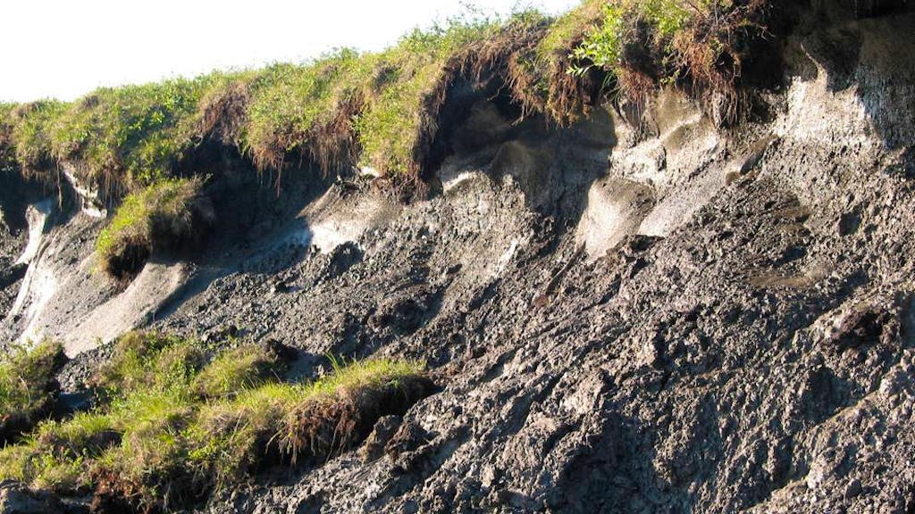 UNO warnt. Fünf Umweltrisiken, die wir bisher unterschätzt haben