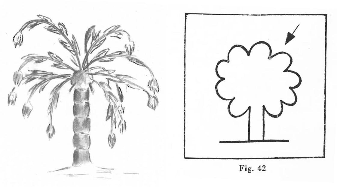 Zeichne einen Baum, und ich sage Dir, wer Du bist