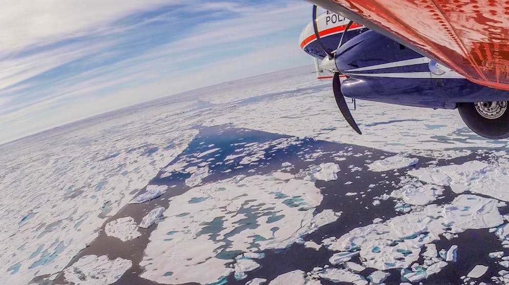 Der fortschreitende Eisrückgang in der Arktis hat Auswirkungen auf das ganze Ökosystem. Denn mit der Schmelze werden sonst im Meereis eingeschlossene Nährstoffe nicht wie sonst üblich im Nordpolarmeer verteilt.
