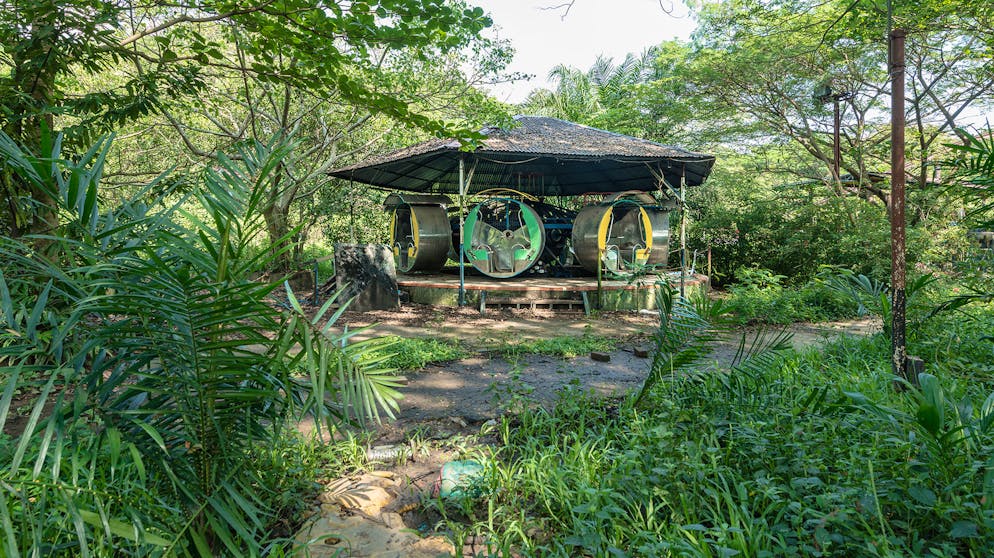 Aufgrund des warmen und feuchten Klimas in Myanmar schreitet der Verfall des Parks besonders schnell voran.