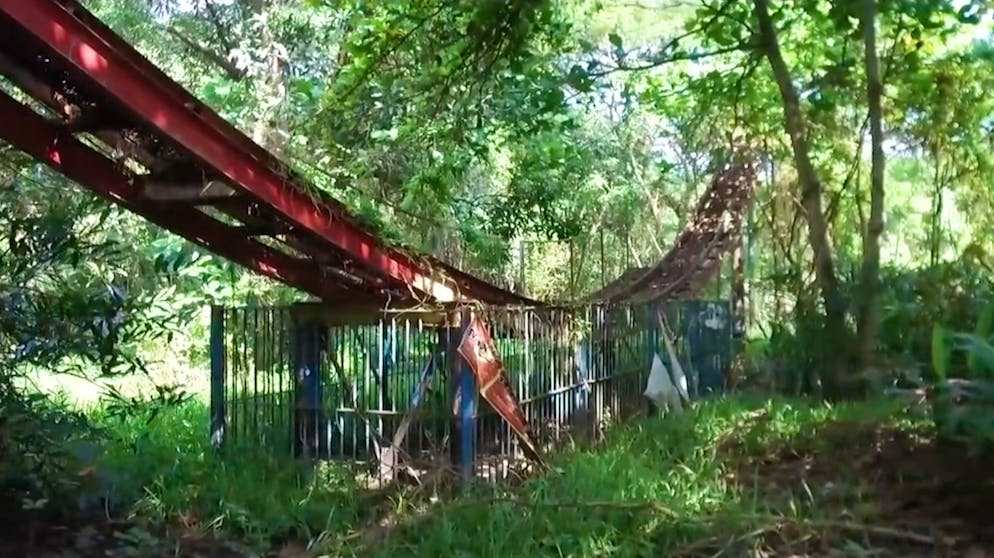 Auch ungezählte Hunde streunen durch den Park.