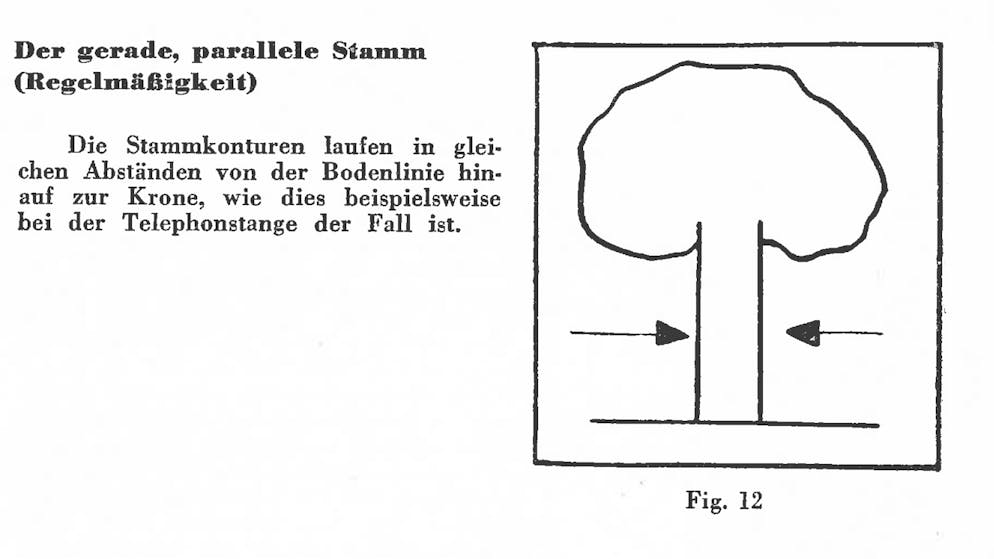 Der psychologische Baumtest