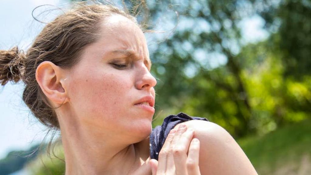 Igiene e salute. Cimici dei letti e acari in aumento: come combatterli?