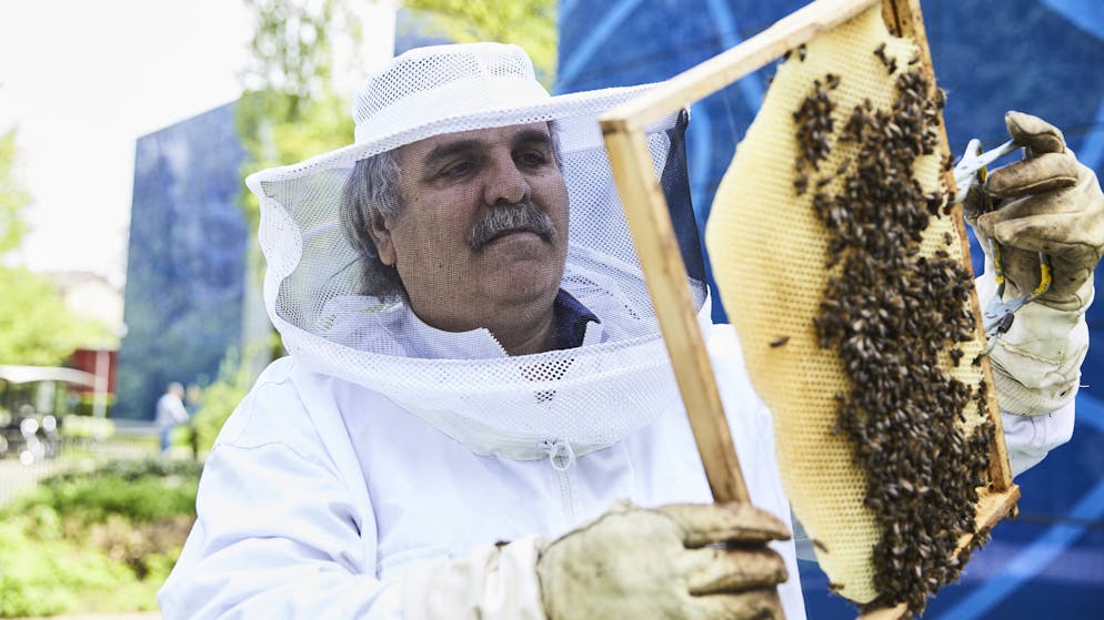 Giorgio Macaluso è l’uomo delle api di Swisscom e in privato apicoltore per diletto.