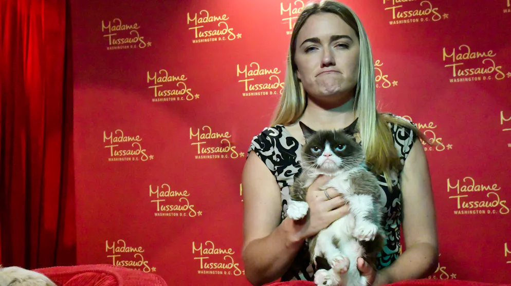 Grumpy Cat: Die besten Bilder einer mürrischen Katze. Für Tabatha Bundsen war Grumpy Cat auch ein Goldesel: Die Besitzerin des Tieres war in Vermarktungsangelegenheiten nicht ungeschickt.