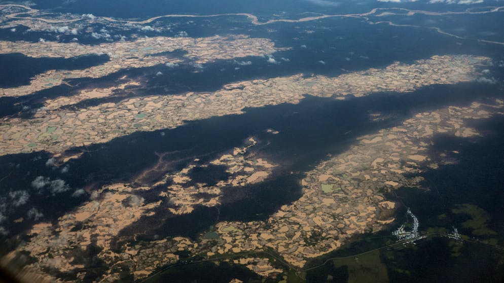 Militär gegen illegale Goldgräber. Bis sich der Regenwald davon erholt vergeht ein Menschenleben, sagen Experten.