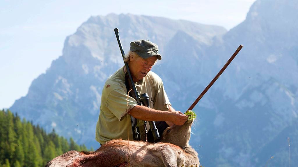 Kantonale Abstimmung GR. Schuss gegen Bündner Sonderjagd geht daneben
